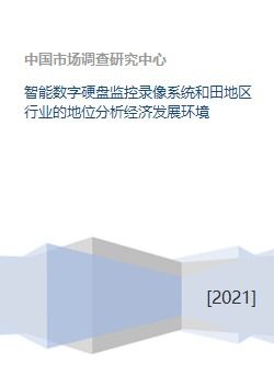 智能数字硬盘监控录像系统在和田地区的行业地位与经济环境分析